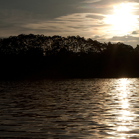 AMAZONAS 32 rio mosaico galeria_MG_4342.jpg